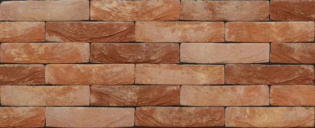 Кирпич ручной формовки Nelissen Paladio 215х50х65