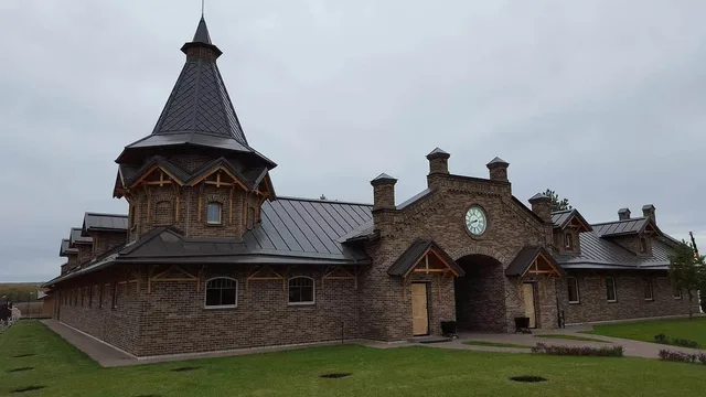 Кирпич ручной формовки Nelissen Maasteen 215х50х65