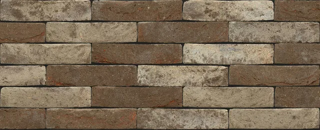 Кирпич ручной формовки Nelissen Maasteen 215х50х65
