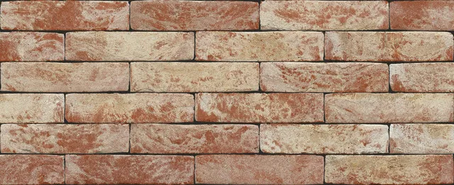 Кирпич ручной формовки Nelissen Klampsteen Kesselt 215х50х65