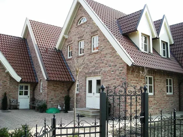 Кирпич ручной формовки Nelissen Old-Gothic 210x100x50