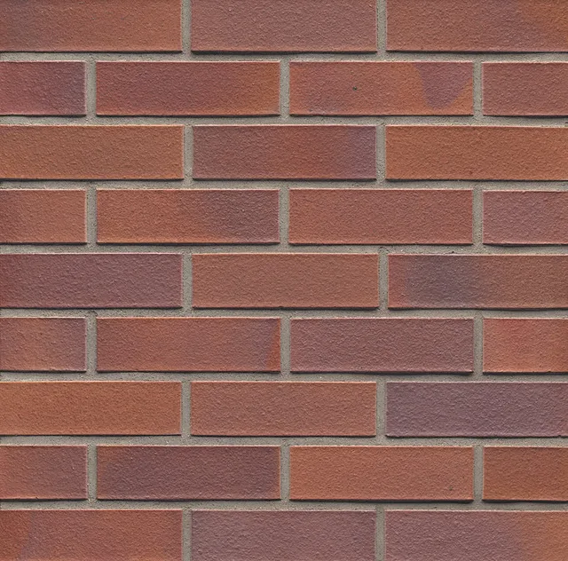 5.0.2