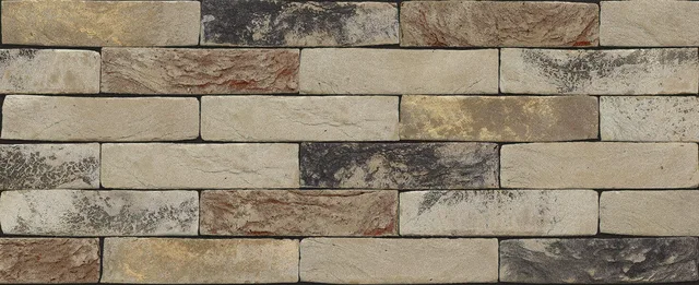 Кирпич ручной формовки Nelissen Horta 215х50х65