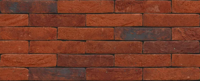 Кирпич ручной формовки Nelissen Rosina 215х50х65