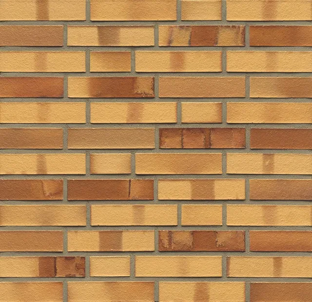 Wf 01 Niederlausitzer Gelb Spezial Glatt.jpg