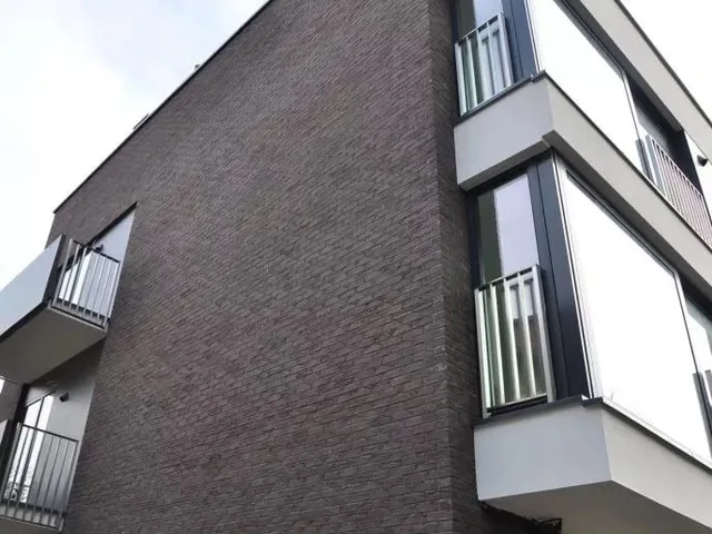Кирпич ручной формовки Nelissen Grafit 215х50х65