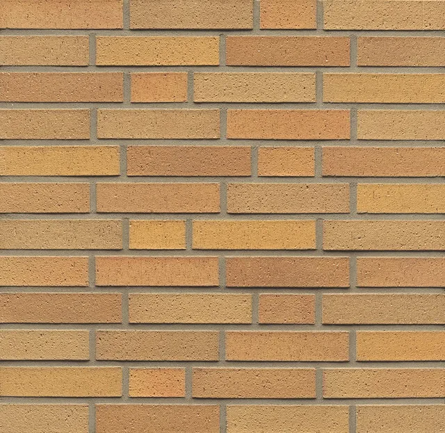 Wf 06 Hellbraun Bunt Geschlt.jpg