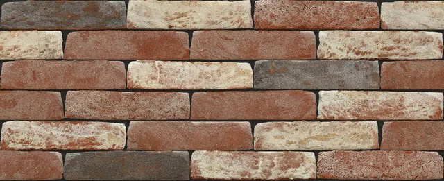 Кирпич ручной формовки Nelissen Old-Gothic 210x100x50