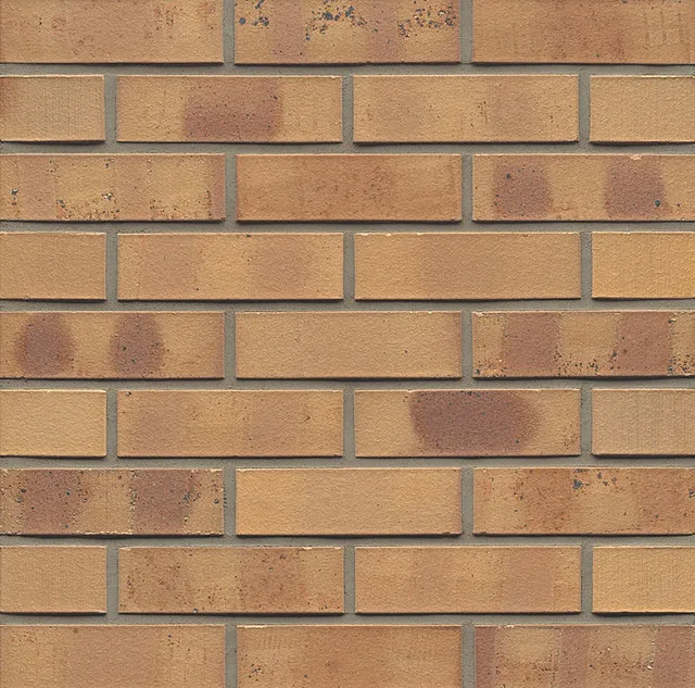 5.0.2