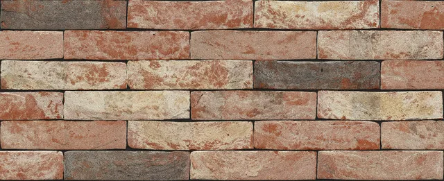Кирпич ручной формовки Nelissen Neo Barok 215х50х65