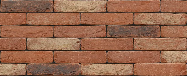 Кирпич ручной формовки Nelissen Hera 215х50х65