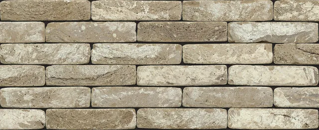 Кирпич ручной формовки Nelissen Ares 215х50х65