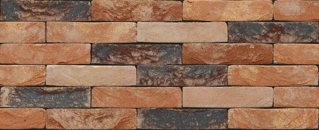Кирпич ручной формовки Nelissen Robinia 215х50х65