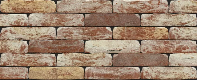 Кирпич ручной формовки Nelissen Old-Haspengouw 215х50х65