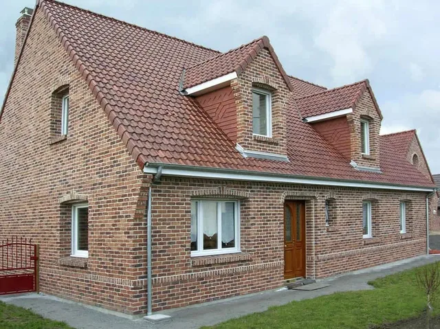 Кирпич ручной формовки Nelissen Robinia 215х50х65