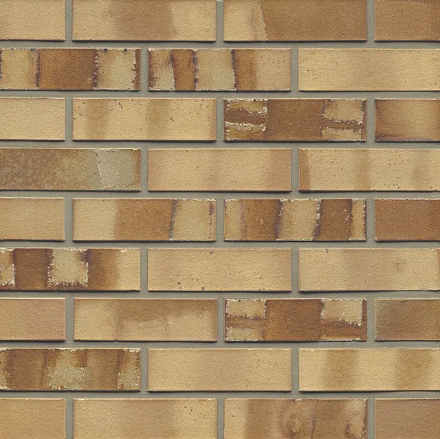 Nf 06 Hellbraun Bunt Spezial Glatt.jpg