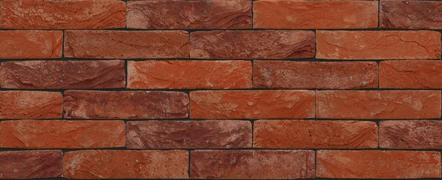 Кирпич ручной формовки Nelissen Trafalgar 215х50х65