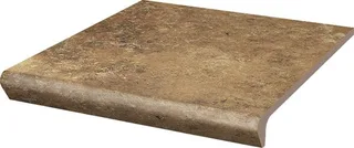 Arteon Ochra