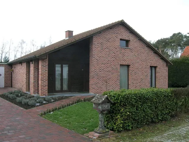 Кирпич ручной формовки Nelissen Robinia 215х50х65