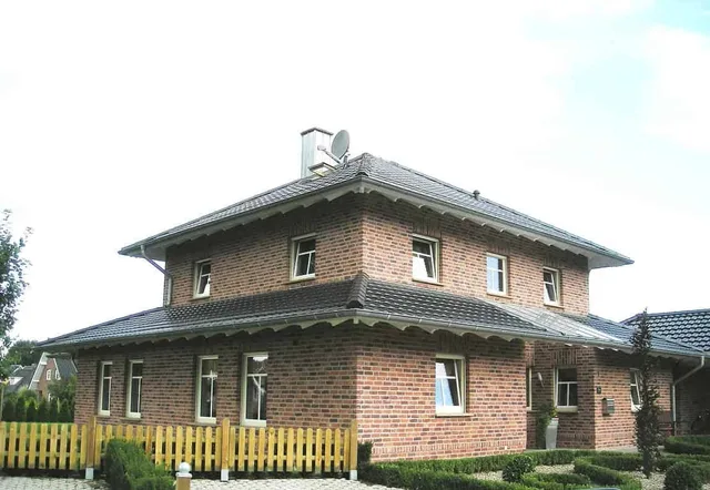 Кирпич ручной формовки Nelissen Robinia 215х50х65