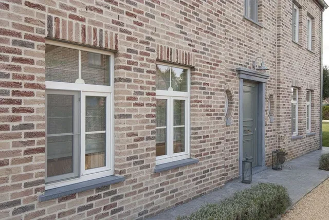 Кирпич ручной формовки Nelissen Hoevesteen T15 215х50х65