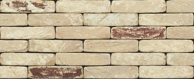 Кирпич ручной формовки Nelissen Apollo 215х50х65