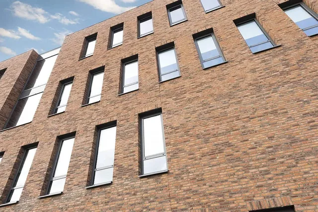 Кирпич ручной формовки Nelissen Robinia 215х50х65