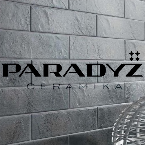 Paradyz