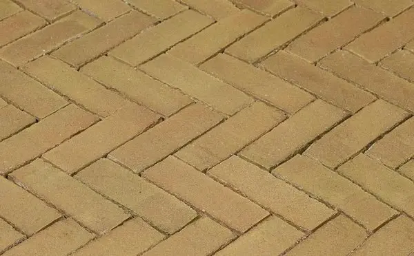 3064a384 4f0c 11e9 80ee A0369f3946a6 9f6d0b8a 5481 11e9 80ee A0369f3946a6.jpeg