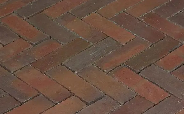 359a9681 3bf6 11e8 80c5 A0369f3946a6 3bcfd377 3bf6 11e8 80c5 A0369f3946a6.jpeg