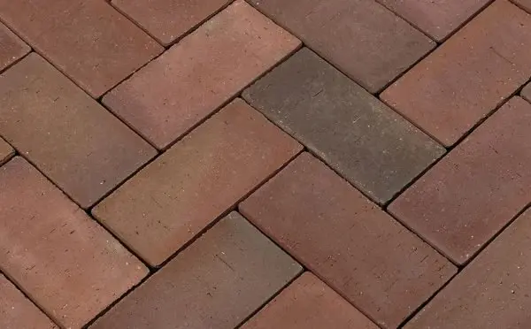 4fbb04f7 081f 11e9 80ea A0369f3946a6 5dbccc5a 3692 11e9 80ed A0369f3946a6.jpeg