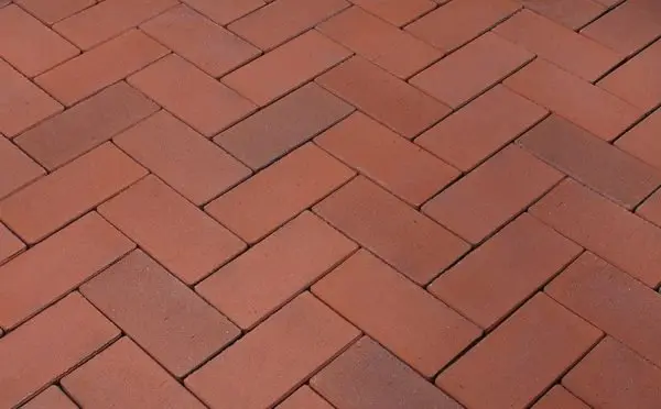 52115727 65b0 4248 92d9 509e66fe3e69 83bd65de 6fb5 11e3 Adf2 003048c9267c.jpeg