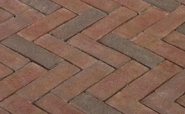 525af806 A8ea 4480 B487 B44e0e105050 317318db 79ce 11e3 9b12 003048c9267c.jpeg