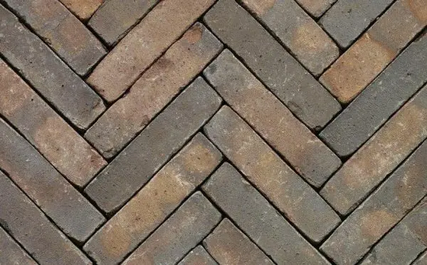 6de0c05f 6cec 4a26 8308 22744593d4ce F86ede39 79d7 11e3 9b12 003048c9267c.jpeg