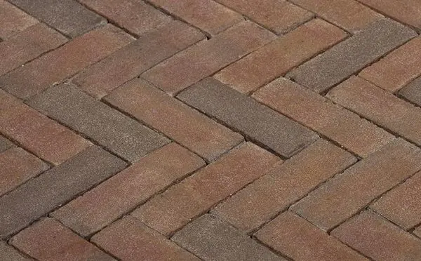 8b992bd6 4f15 11e9 80ee A0369f3946a6 65f68376 7bae 11e9 80f0 A0369f3946a6.jpeg