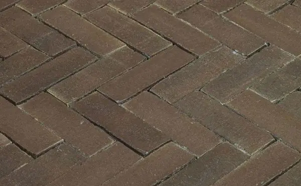 A1e6bcaf 07ec 4275 8ca0 Bf9123af1781 D083cfce 79da 11e3 9b12 003048c9267c.jpeg