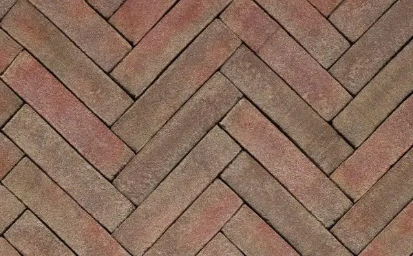 B59e204b 4f15 11e9 80ee A0369f3946a6 A5c4229e 7bae 11e9 80f0 A0369f3946a6.jpeg