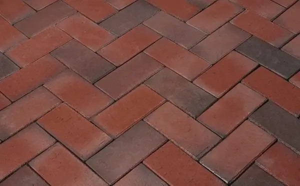 C6629af8 4591 11e1 9031 003048c9267c 6807575a 6fb8 11e3 Adf2 003048c9267c.jpeg