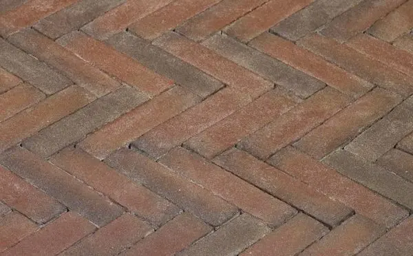 F35433a0 Dd85 48ed 84b0 Ca766b14af8f 9a3baa31 7bc2 11e9 80f0 A0369f3946a6.jpeg
