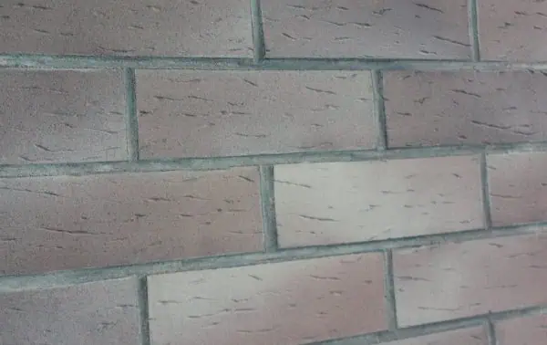 Shop Property File 8339 7255.jpg