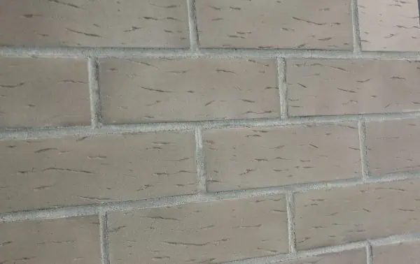 Shop Property File 8449 7284.jpg