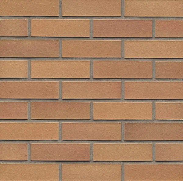 µp