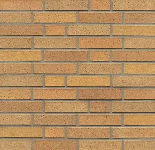 Wf 06 Hellbraun Bunt Geschlt.jpg