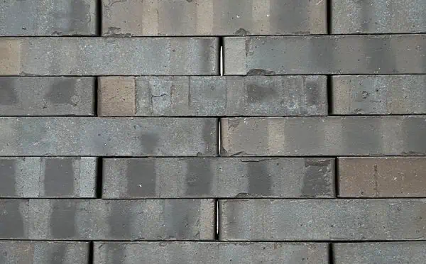 872aaa05 1d5f 11ed Ad5c 00155dc8960d 3bce92bf 1e2d 11ed Ad5c 00155dc8960d 1.jpeg