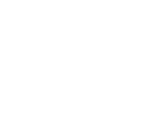 Exagres Logo