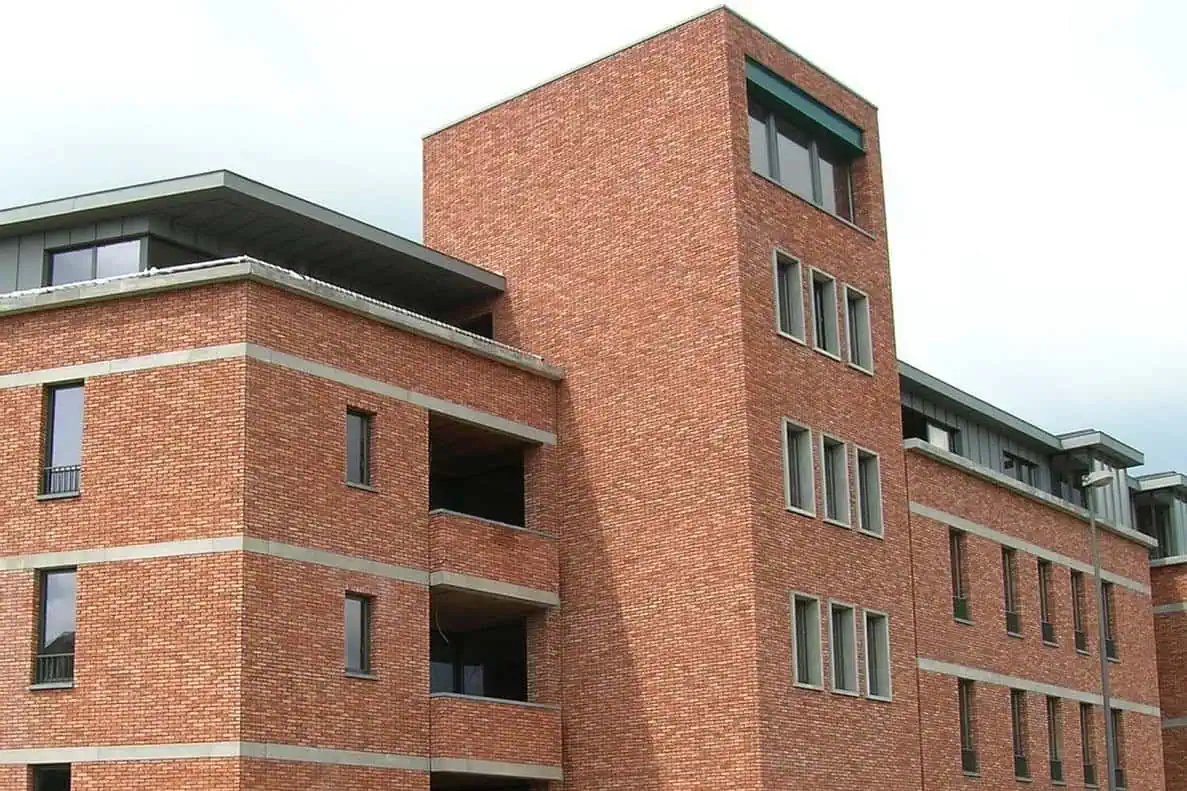 Кирпич ручной формовки Nelissen Paladio 215х50х65 — изображение 9