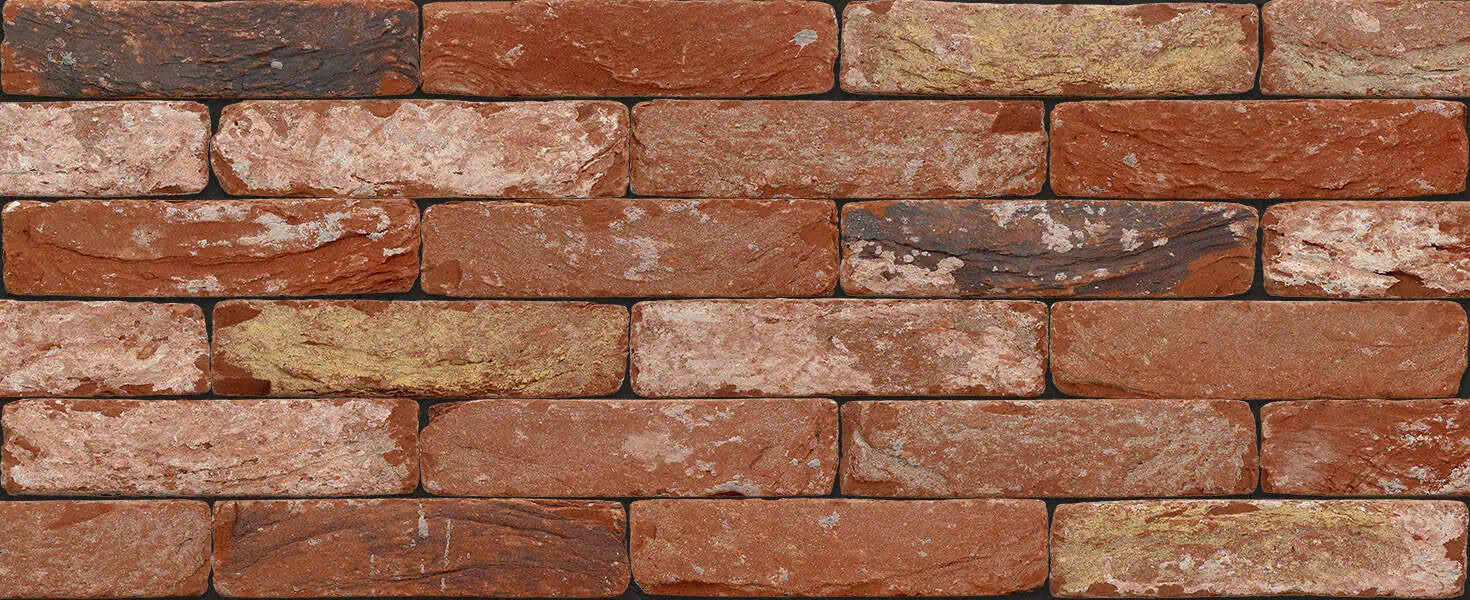 Кирпич ручной формовки Nelissen Pallas 215х50х65