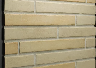 Ригельная плитка для фасада под клинкер Life Brick Лонг 100 микс, 430x52x15 мм 3