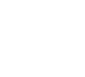 Exagres Logo