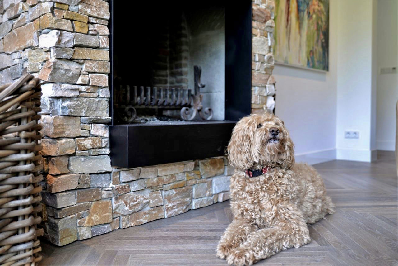 b3crkoma4p744b170vbj5yr7xd84zsar.jpg B3crkoma4p744b170vbj5yr7xd84zsar